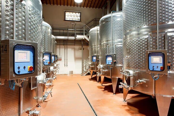Private Vineyard Walk and Cellar Tasting in Val di Chiana, Tuscany photo 6