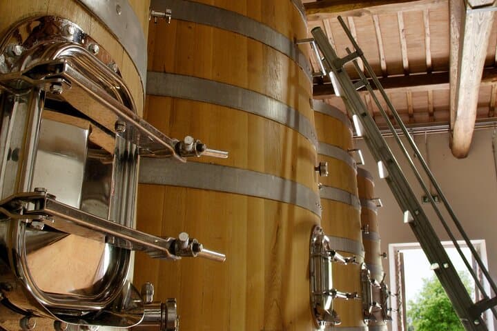 Private Vineyard Walk and Cellar Tasting in Val di Chiana, Tuscany photo 5