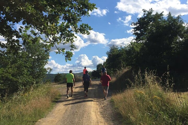 Private Vineyard Walk and Cellar Tasting in Val di Chiana, Tuscany photo 3