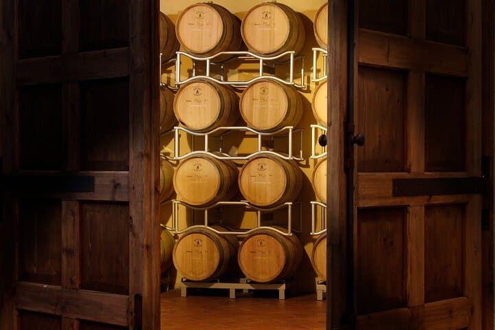 Private Vineyard Walk and Cellar Tasting in Val di Chiana, Tuscany
