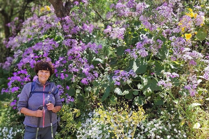 Green Gran Canaria Blossom Hikes — Small‑Group Guided Walks photo 2