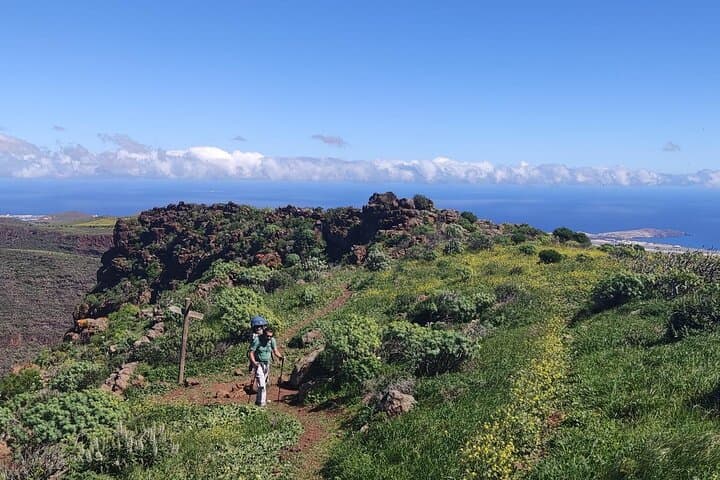 Green Gran Canaria Blossom Hikes — Small‑Group Guided Walks photo 4