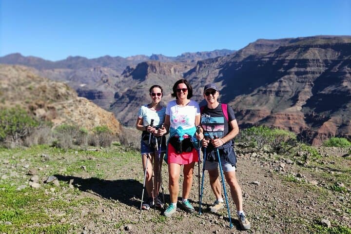 Green Gran Canaria Blossom Hikes — Small‑Group Guided Walks photo 5