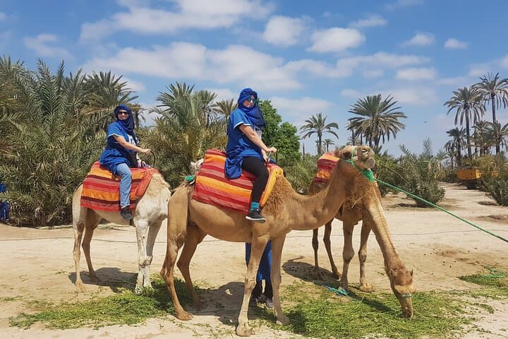 Agafay Desert Quad Ride, Camel Trek & Dinner Show from Marrakech photo 6