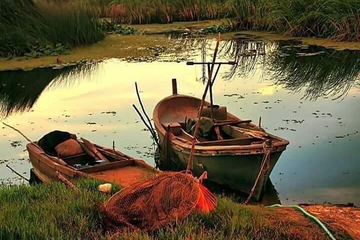 Danube Delta 3-Day Private Birdwatching & Safari from Bucharest photo 6