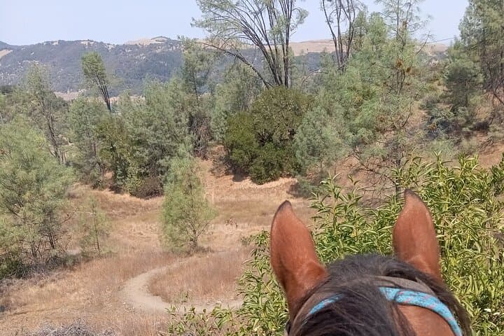 Lake Sonoma Horseback Riding Tour — Wine Country Overlook Adventure photo 5