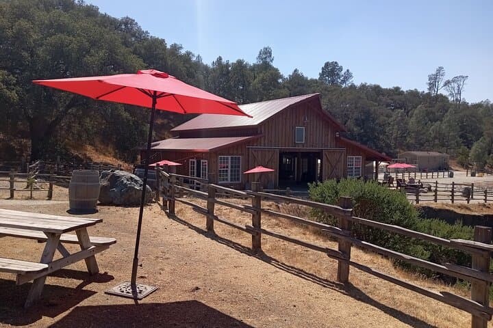 Lake Sonoma Horseback Riding Tour — Wine Country Overlook Adventure photo 6