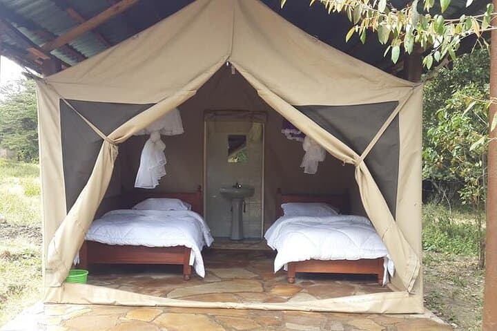 Masai Mara Interactive Safaris: 3-Day Cultural & Wildlife Safari from Nairobi photo 3