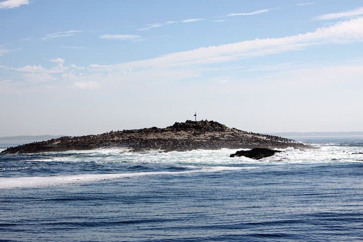 Shark Cage Diving in Cape Town: Hookah Cage Experience at Seal Island photo 3