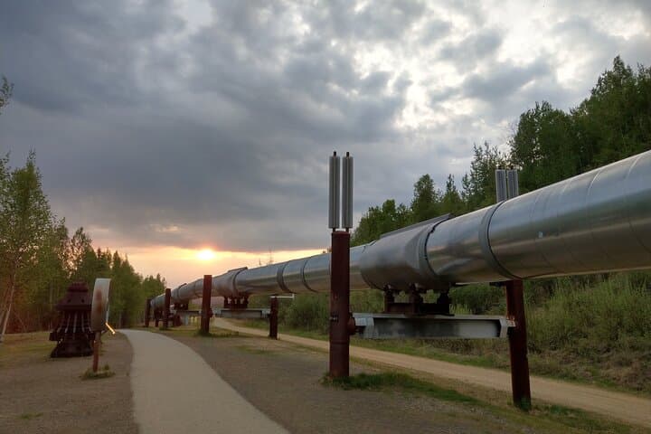 Fairbanks City Highlights: Pipeline Viewpoints, Museums & North Pole Visit photo 5