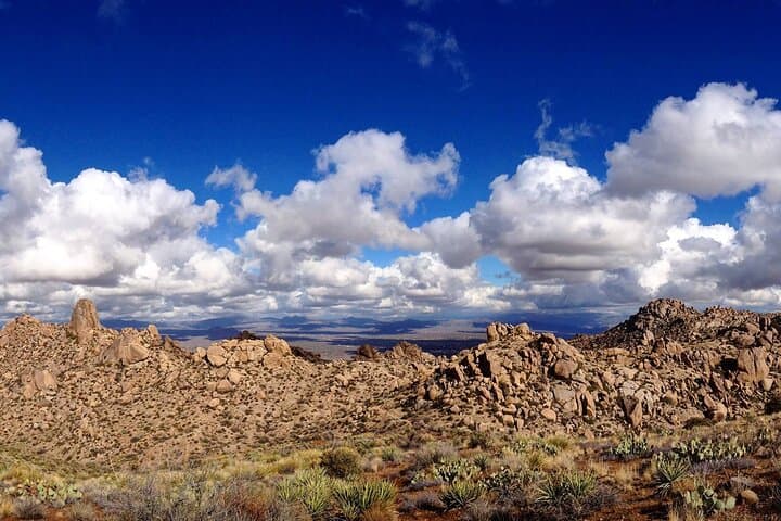 Tom's Thumb Guided Hike in Scottsdale — McDowell Sonoran Preserve Adventure photo 2