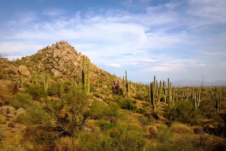 Tom's Thumb Guided Hike in Scottsdale — McDowell Sonoran Preserve Adventure photo 3