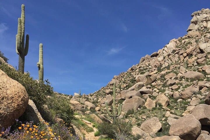 Tom's Thumb Guided Hike in Scottsdale — McDowell Sonoran Preserve Adventure photo 4