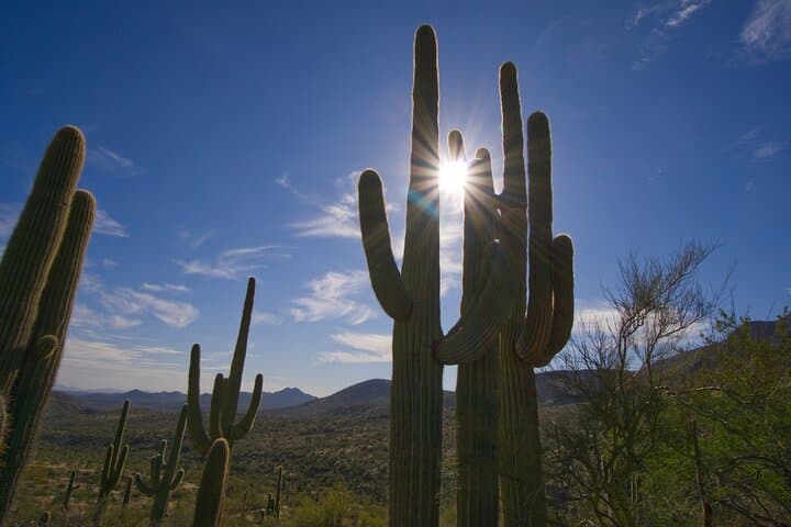 Tom's Thumb Guided Hike in Scottsdale — McDowell Sonoran Preserve Adventure photo 5