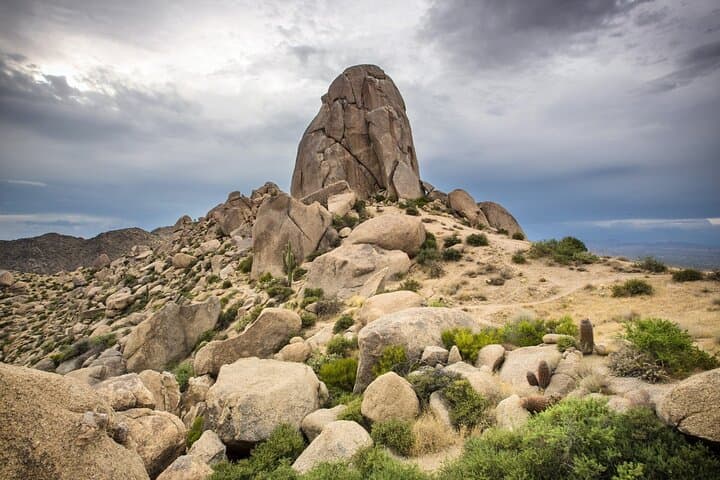 Tom's Thumb Guided Hike in Scottsdale — McDowell Sonoran Preserve Adventure photo 6