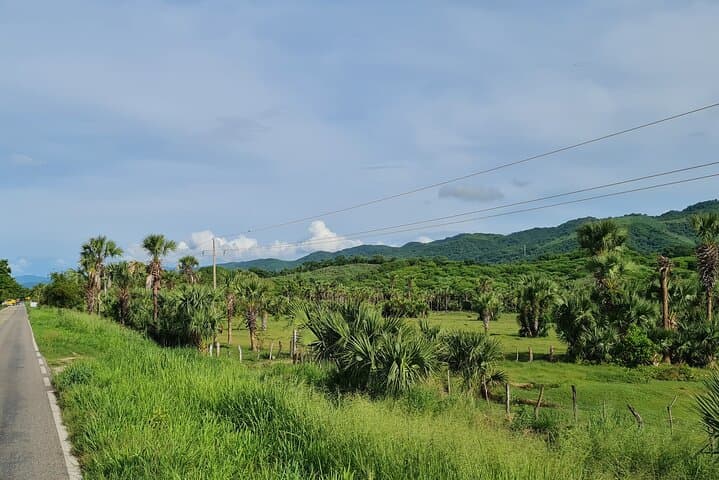 Cozoaltepec and Gavilan Mountain Day Tour from Puerto Escondido photo 6