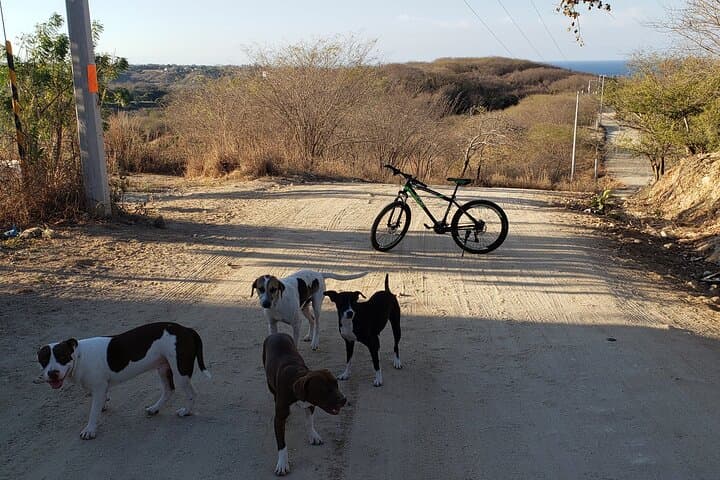 Colotepec Towns & Traditions Bike Tour from Puerto Escondido photo 4