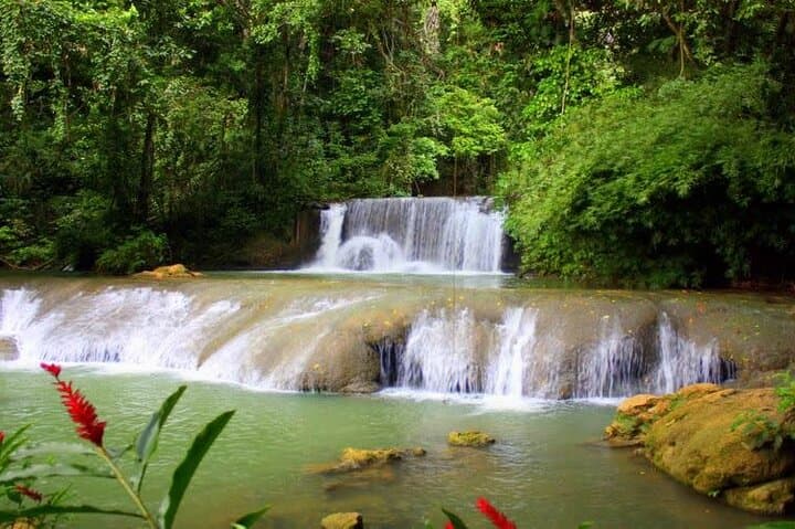 YS Falls Zipline & Canopy Countryside Private Day Trip from Montego Bay photo 2