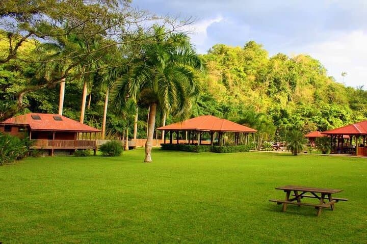 YS Falls Zipline & Canopy Countryside Private Day Trip from Montego Bay photo 3