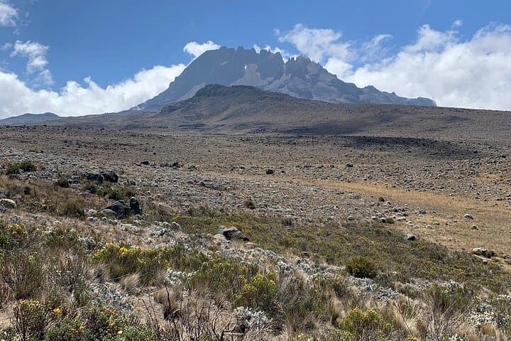 Marangu Route Kilimanjaro Trek: 5-Day Ascent to Uhuru Peak photo 5