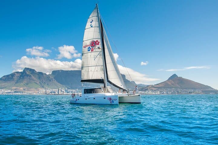 Sunset Champagne Cruise and 3-Course Dinner at Cape Town V&A Waterfront photo 4