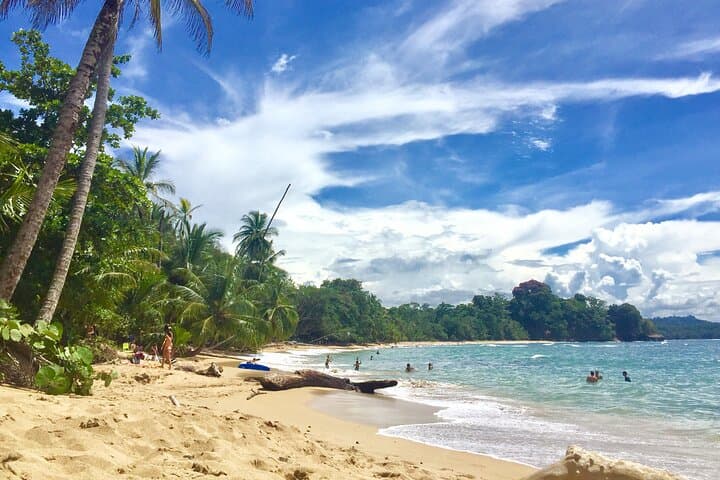 Puerto Viejo to San José Shared Shuttle — Practical Guide for Caribbean Transfers photo 6