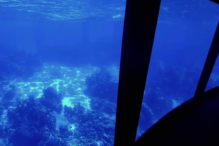 Underwater Cabin Boat Tour in Bora Bora Lagoon — Coral Gardens & Marine Life photo 5