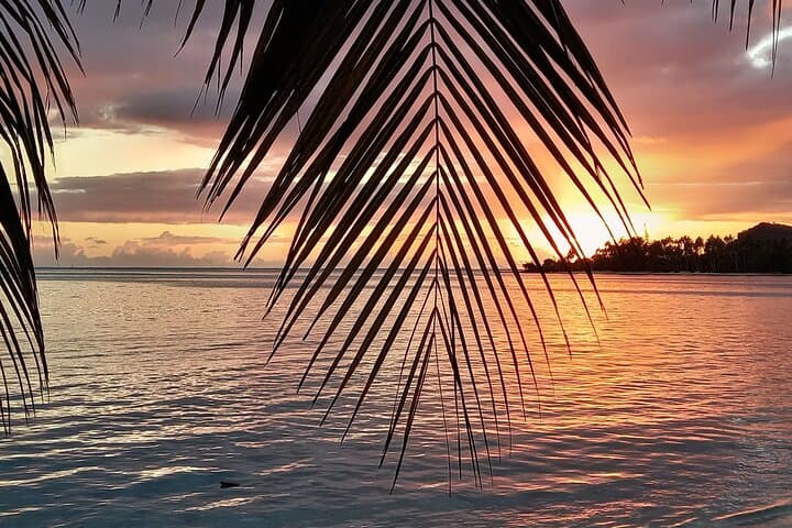 Underwater Cabin Boat Tour in Bora Bora Lagoon — Coral Gardens & Marine Life photo 6