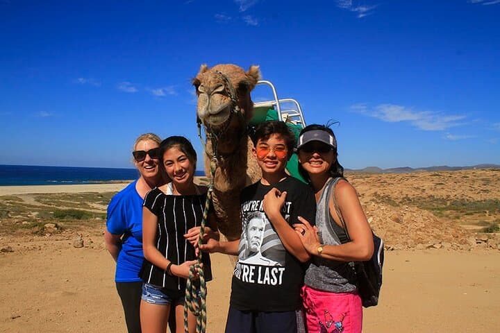 Camel Ride on the Beach in Los Cabos — Pacific Coast Eco‑Tour photo 4