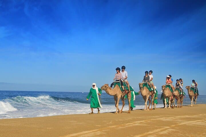 Los Cabos Camel Ride: Pacific Beach and Desert Eco‑Tour photo 5