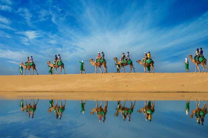 Los Cabos Camel Ride: Pacific Beach and Desert Eco‑Tour photo 4