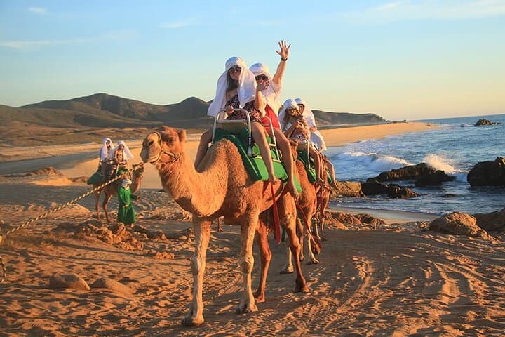 Los Cabos Camel Ride: Pacific Beach and Desert Eco‑Tour photo 3
