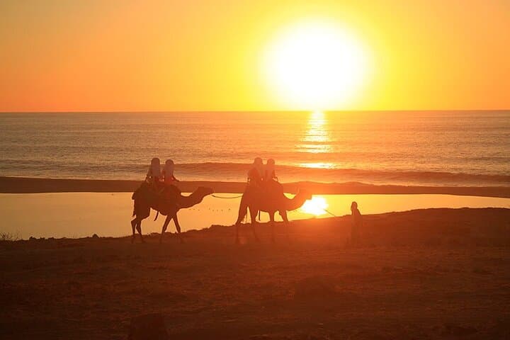 Sunset Camel & ATV Combo in Los Cabos: Beach Rides, Desert Tracks, and Dinner