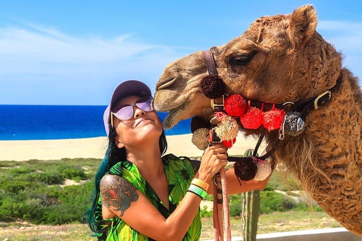 Los Cabos Camel Ride: Pacific Beach and Desert Eco‑Tour photo 2