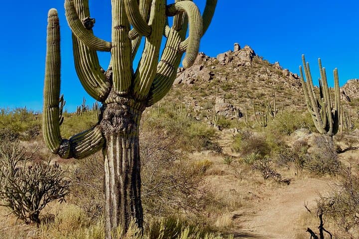 Scottsdale Desert Classic: Guided Hiking in McDowell Sonoran Preserve photo 4