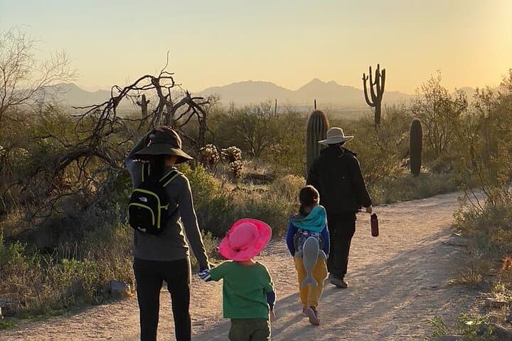 Scottsdale Desert Classic: Guided Hiking in McDowell Sonoran Preserve photo 5