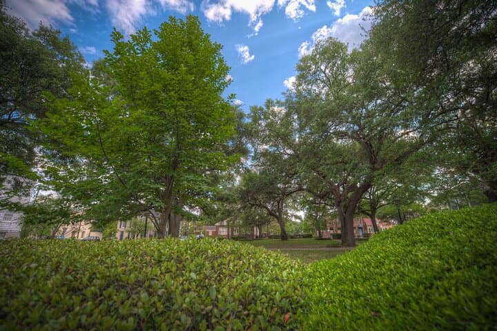 Battles & Brews Pub Crawl in Savannah — Civil War Walking Bar Tour