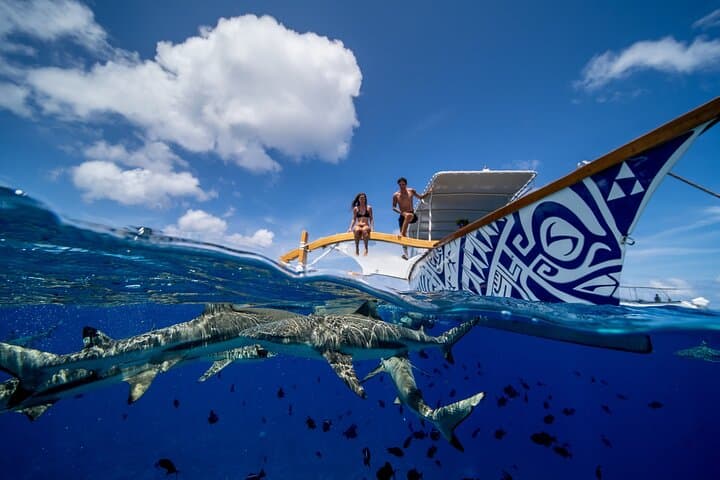 Luxury Private Bora Bora Full-Day Snorkel Tour & Motu Lunch photo 4