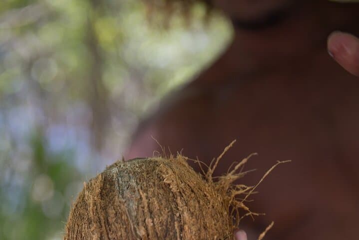 Luxury Private Bora Bora Full-Day Snorkel Tour & Motu Lunch photo 6