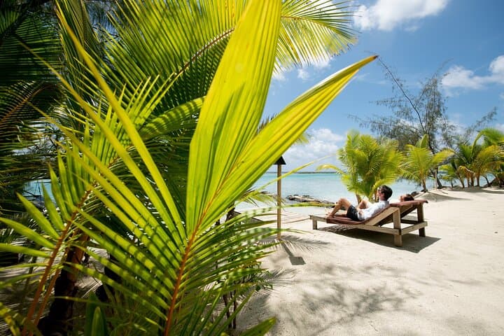 Luxury Private Bora Bora Full-Day Snorkel Tour & Motu Lunch photo 5