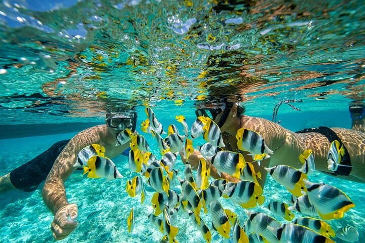 Private Bora Bora Lagoon Tour: Full-Day Snorkeling & Lunch with Mount Otemanu Views photo 6