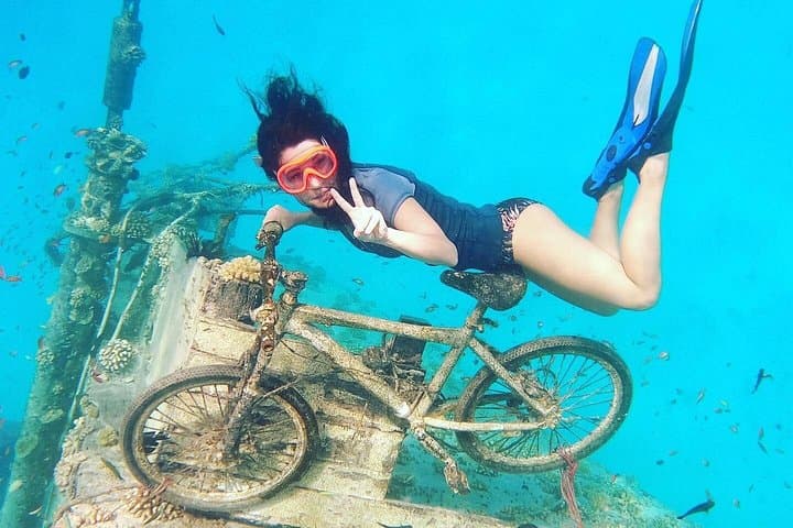 Maafushi Shipwreck Snorkel: Nurse Sharks, Giant Trevally & Dolphin Watching photo 2