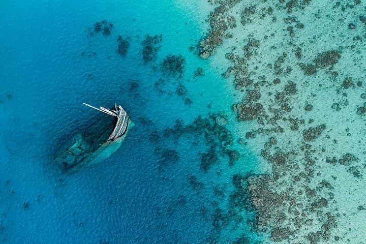 Maafushi Shipwreck Snorkel: Nurse Sharks, Giant Trevally & Dolphin Watching photo 3