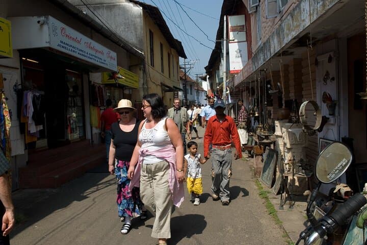 Kerala Backwaters, Hill Stations & Beaches: 10-Day Private Tour from Kochi photo 6