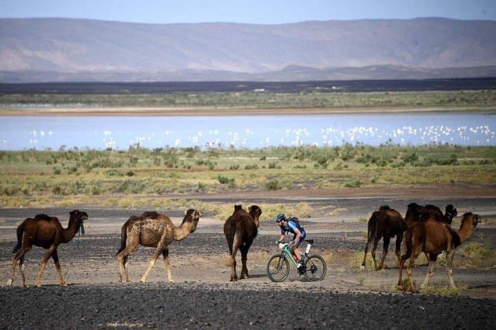 3-Day Marrakech to Merzouga Desert Adventure: Kasbahs, Gorges & Camel Camp photo 6