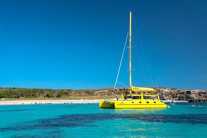 Carnac Island Half-Day Sail: Snorkel, Sea Lions & Wind-Powered Return photo 4