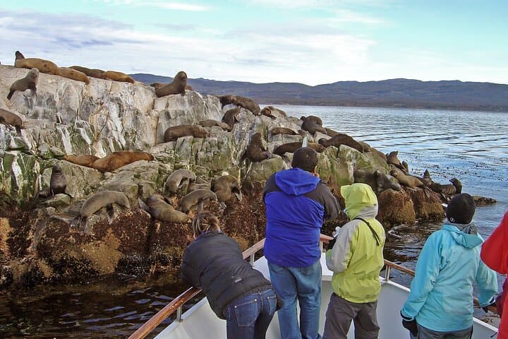 Beagle Channel Catamaran Cruise from Ushuaia: Les Éclaireurs & Wildlife photo 6