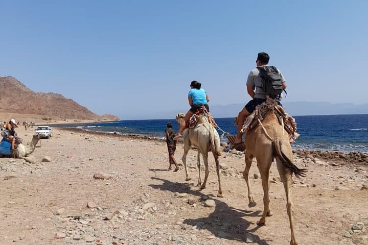 Dahab Blue Hole Camel Ride & Snorkeling Day Trip from Sharm El Sheikh photo 2