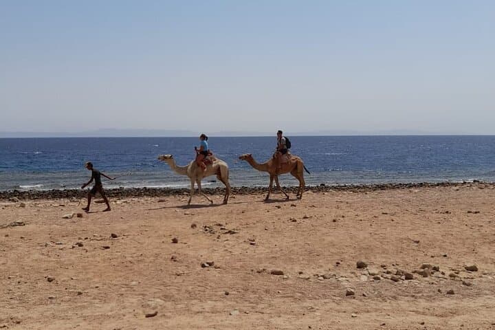 Dahab Blue Hole Camel Ride & Snorkeling Day Trip from Sharm El Sheikh photo 3