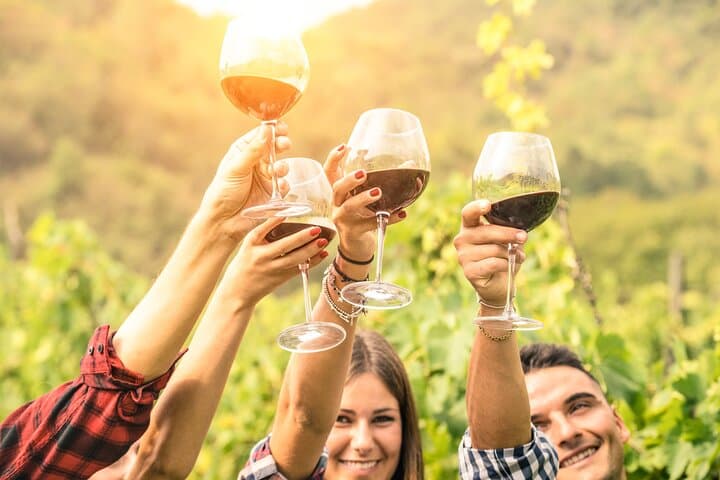 Barossa and Hahndorf Wine Tasting: A Full-Day Adelaide Hills & Valley Drive